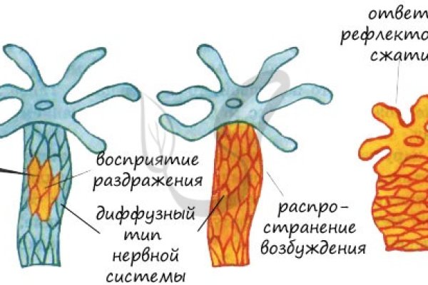 Ссылка кракен vk2 top