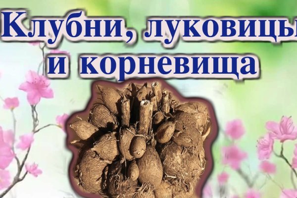 Кракен картель