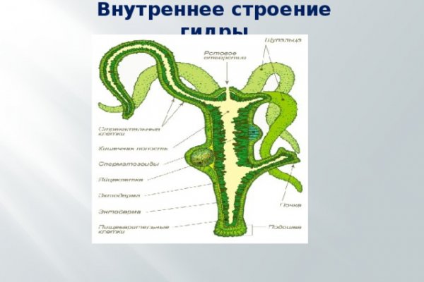 Что такое кракен маркет