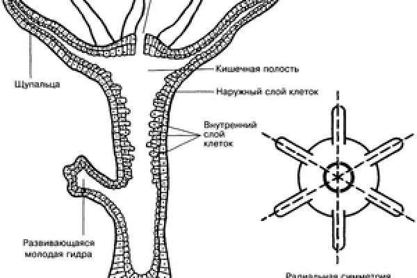 2krn cc официальный