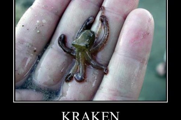 Kraken актуальное